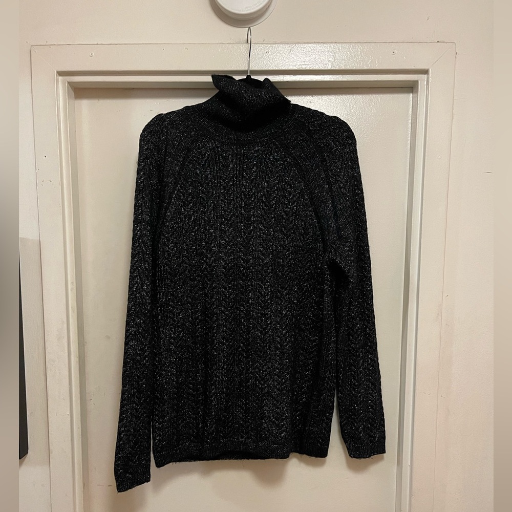 Black with metallic silver turtle neck sweater.